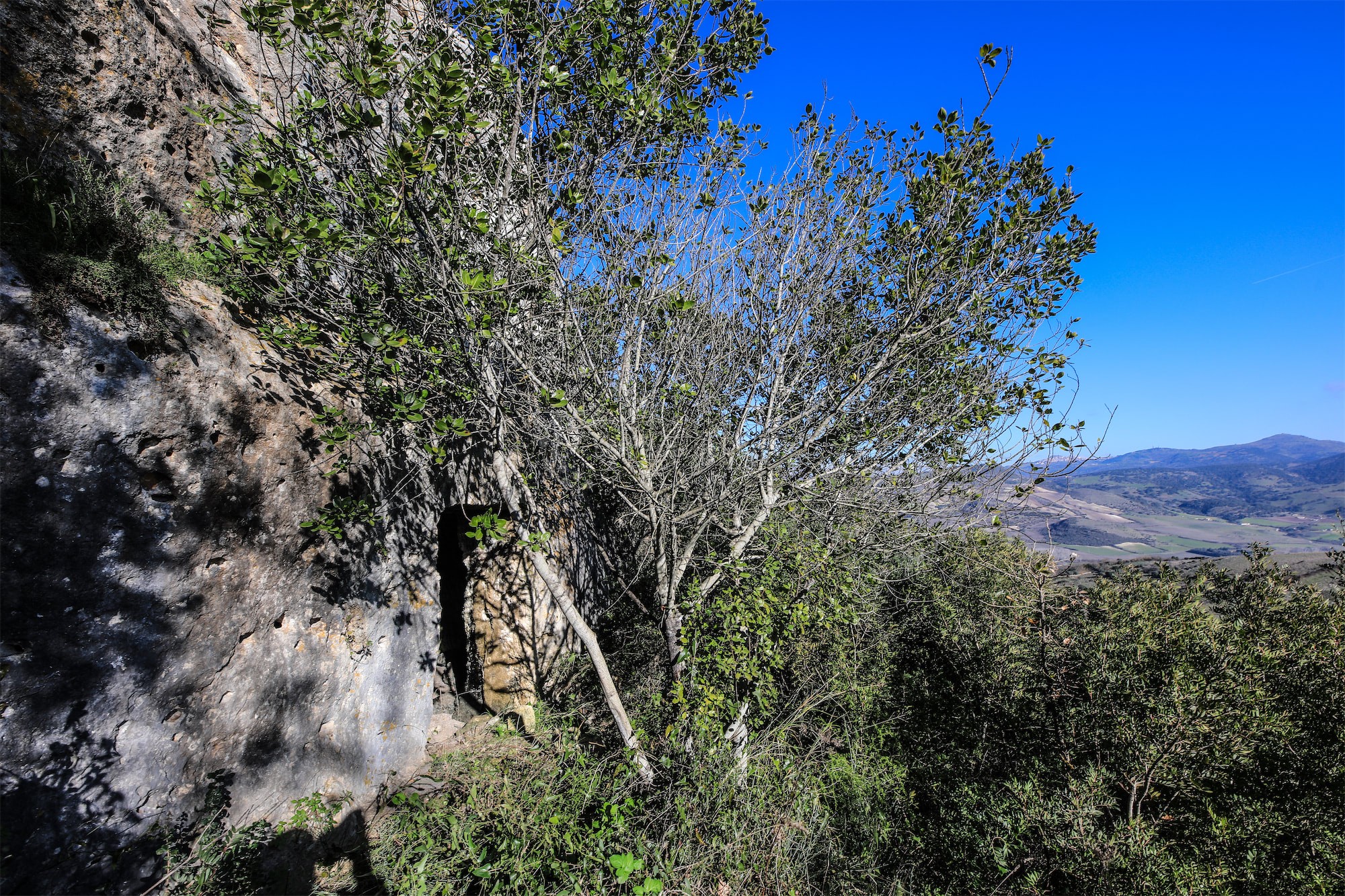 Rocca Ruja Rocca Ruja