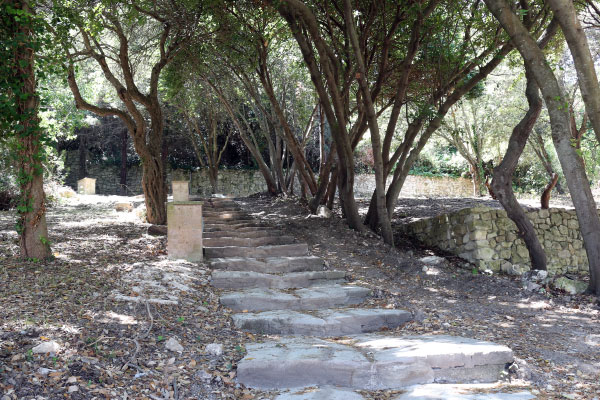 Water path